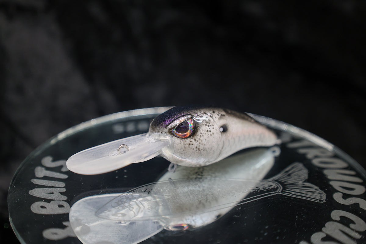 SCGB X PL ROCKER - SHAD SERIES