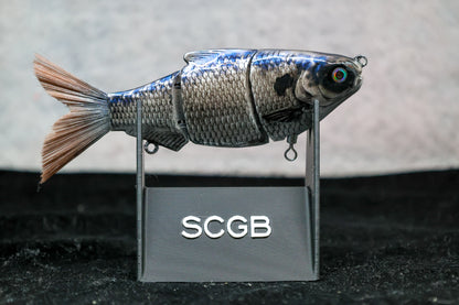 Fat Shad SwimBait