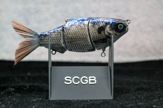 Fat Shad SwimBait