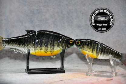 SCGB KO Shad - EXCLUSIVE COLORS