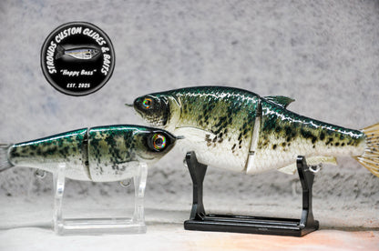 SCGB KO Shad - EXCLUSIVE COLORS
