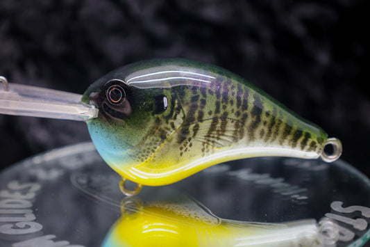 DT-16 Crank Baits