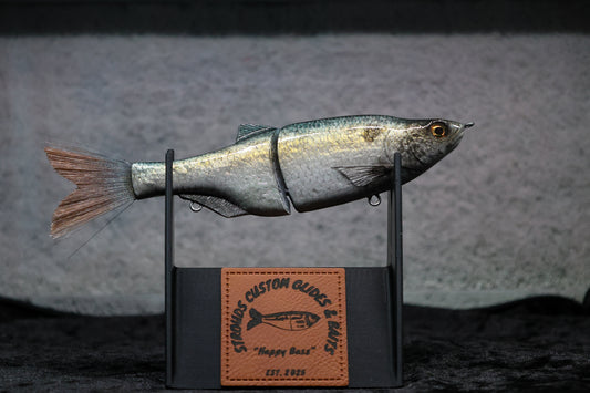 Flat Side Shad