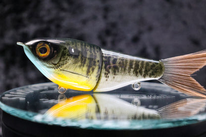 5" Glide Bait - .5oz - "NON FOILED"