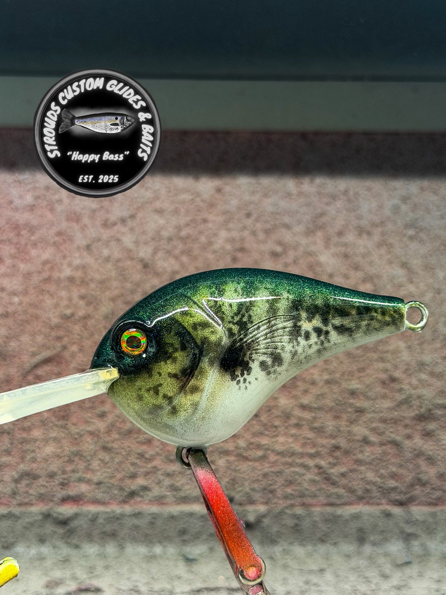 DEEP DIVING CRANK-BAIT SET