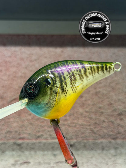 DEEP DIVING CRANK-BAIT SET