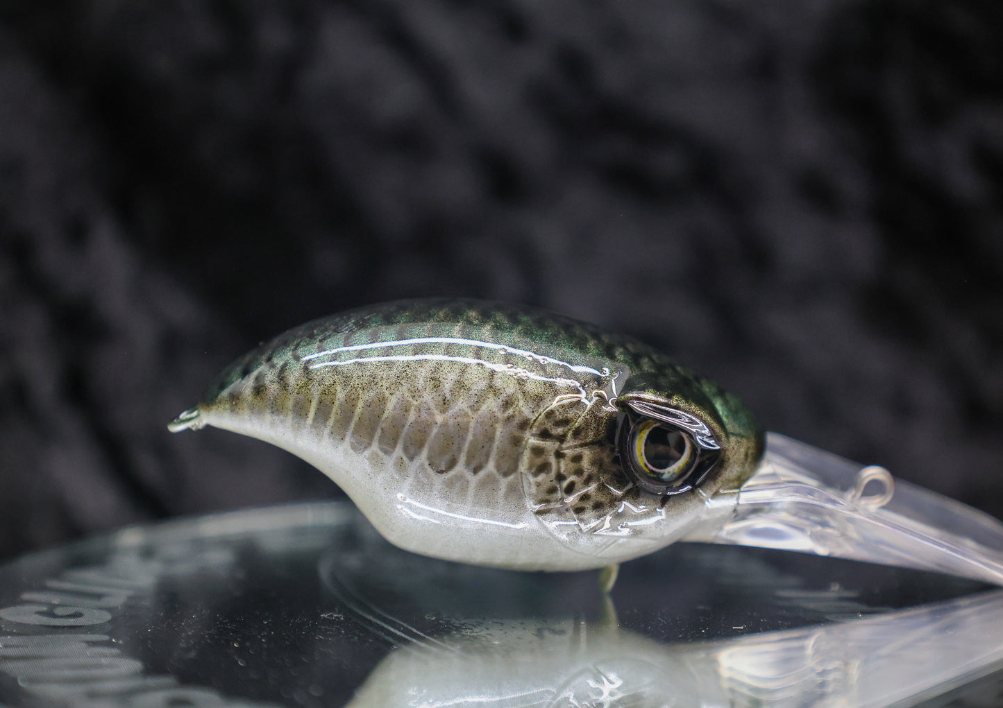 PL Striker Crankbait