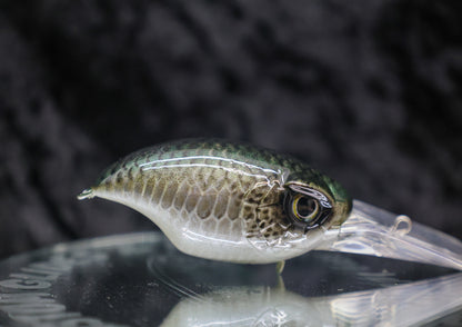 PL Striker Crankbait - Bait Fish Series