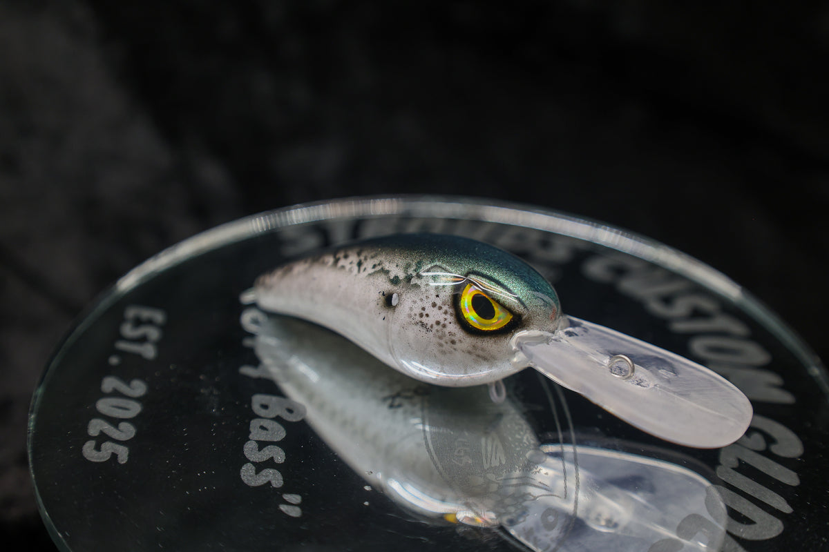 SCGB X PL ROCKER - SHAD SERIES
