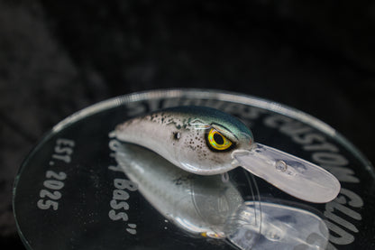 SCGB X PL ROCKER - SHAD SERIES