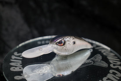 SCGB X PL ROCKER - SHAD SERIES
